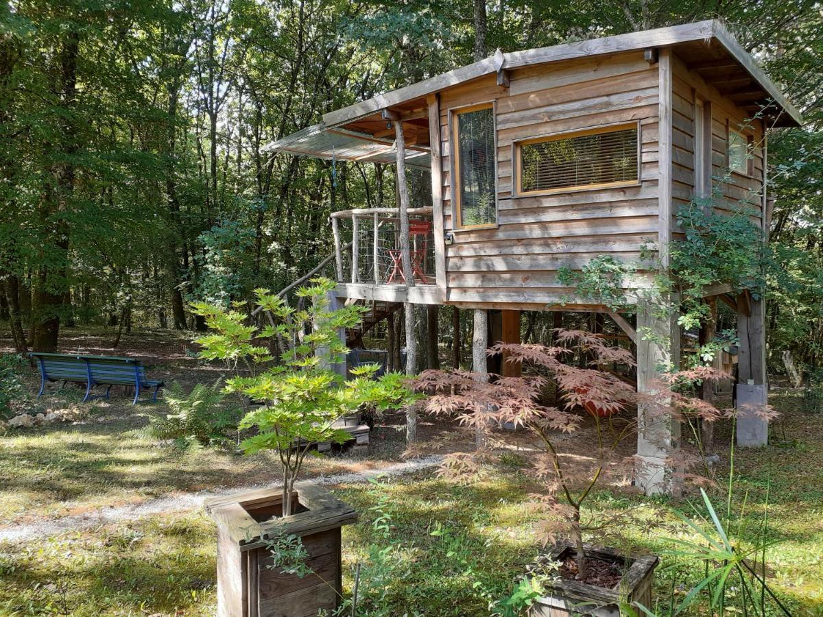 La Cabane De L'Oiseau Couze-et-Saint-Front Екстер'єр фото