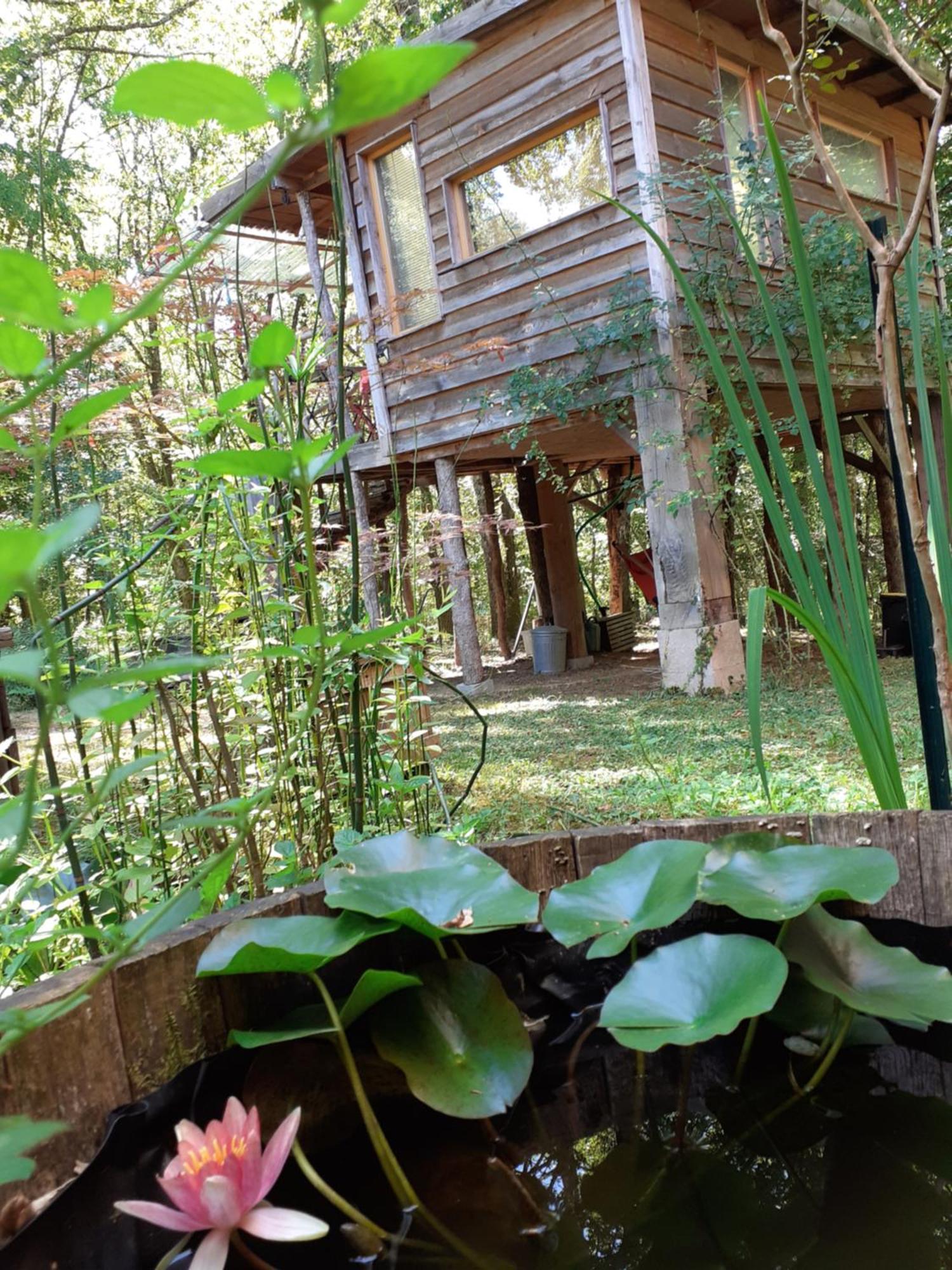 La Cabane De L'Oiseau Couze-et-Saint-Front Екстер'єр фото