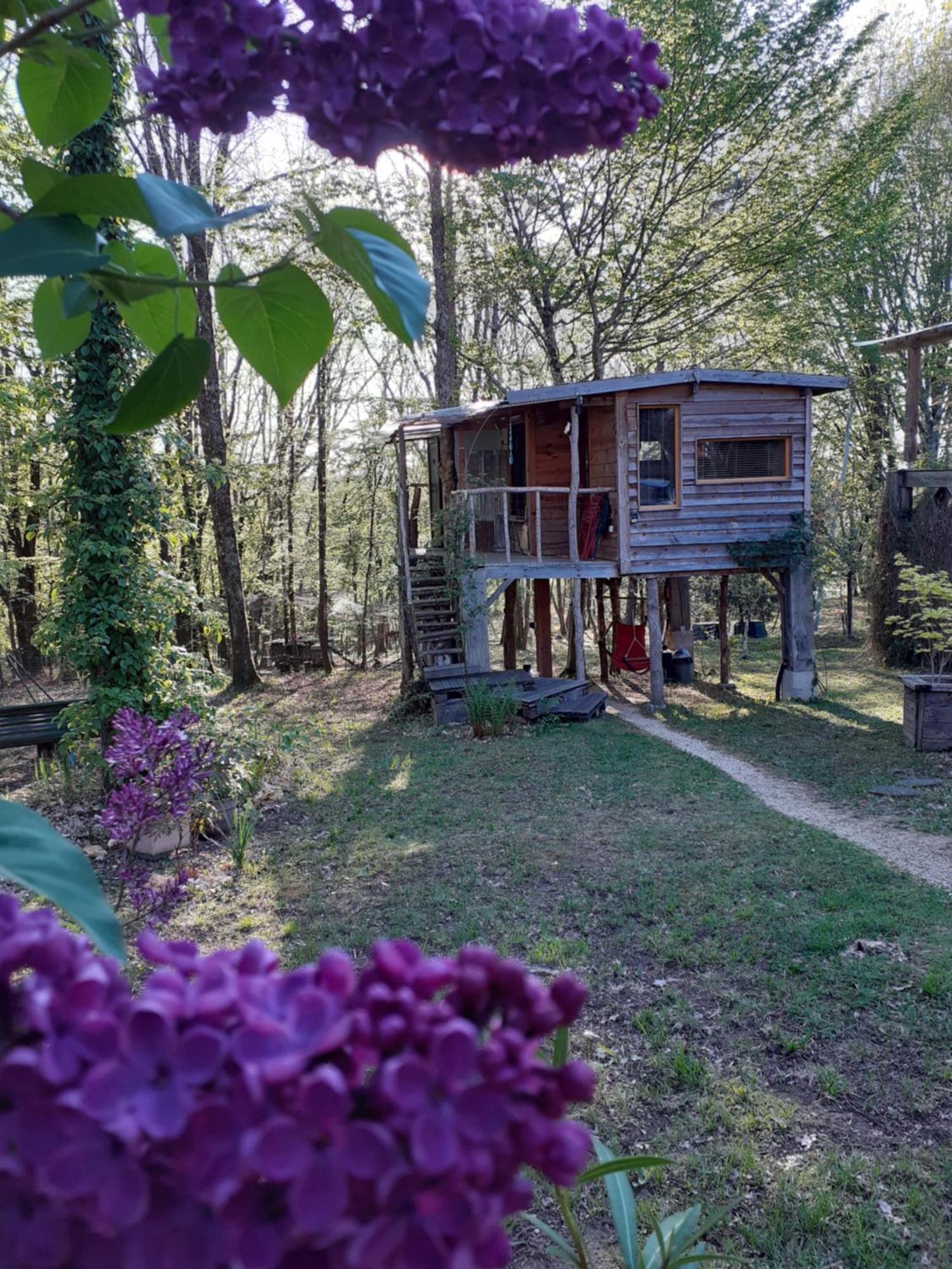La Cabane De L'Oiseau Couze-et-Saint-Front Екстер'єр фото