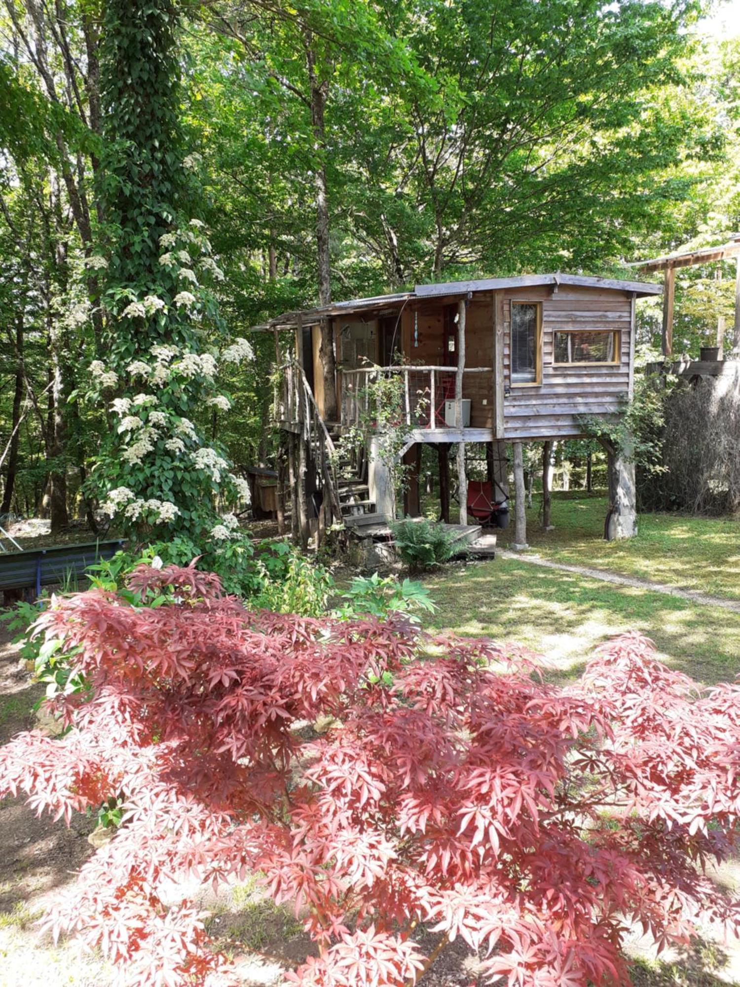La Cabane De L'Oiseau Couze-et-Saint-Front Екстер'єр фото